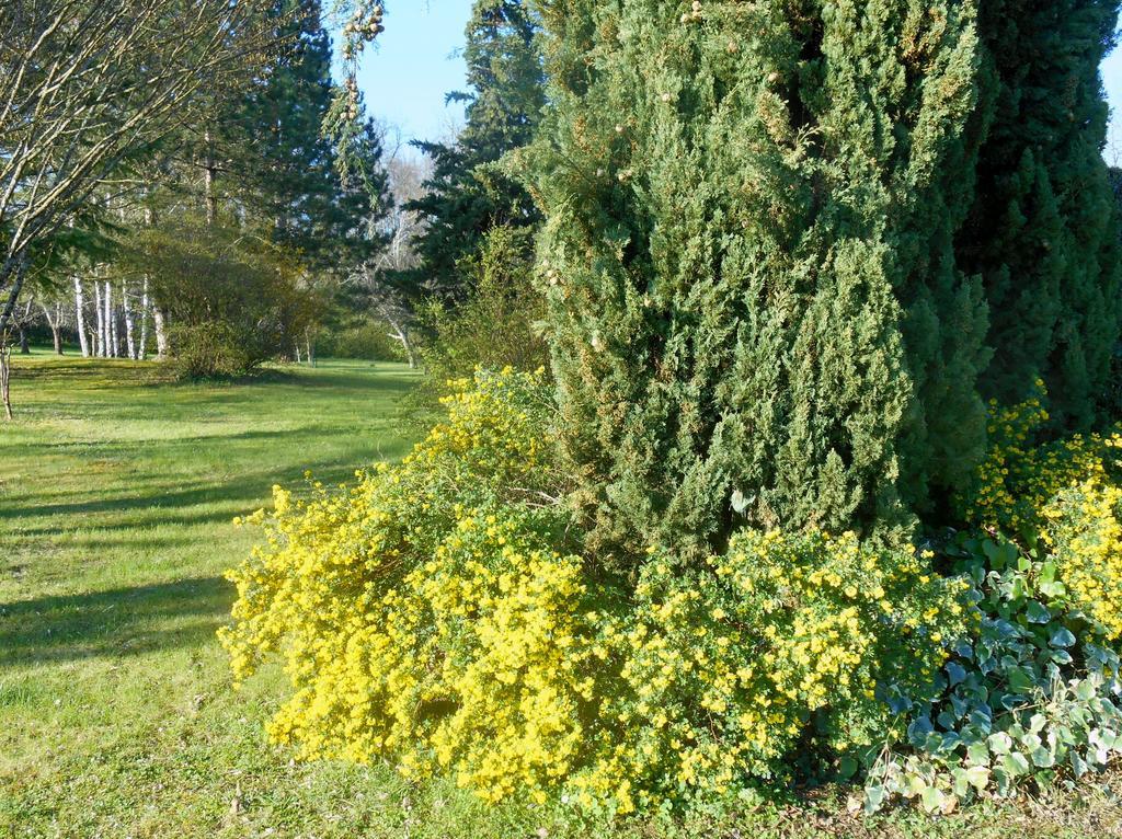 Le Colombier Bed & Breakfast Вилньов-сюр-Ло Екстериор снимка