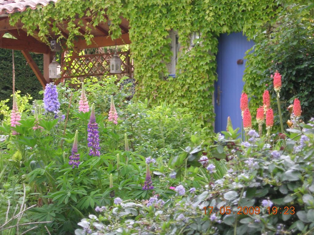 Le Colombier Bed & Breakfast Вилньов-сюр-Ло Екстериор снимка